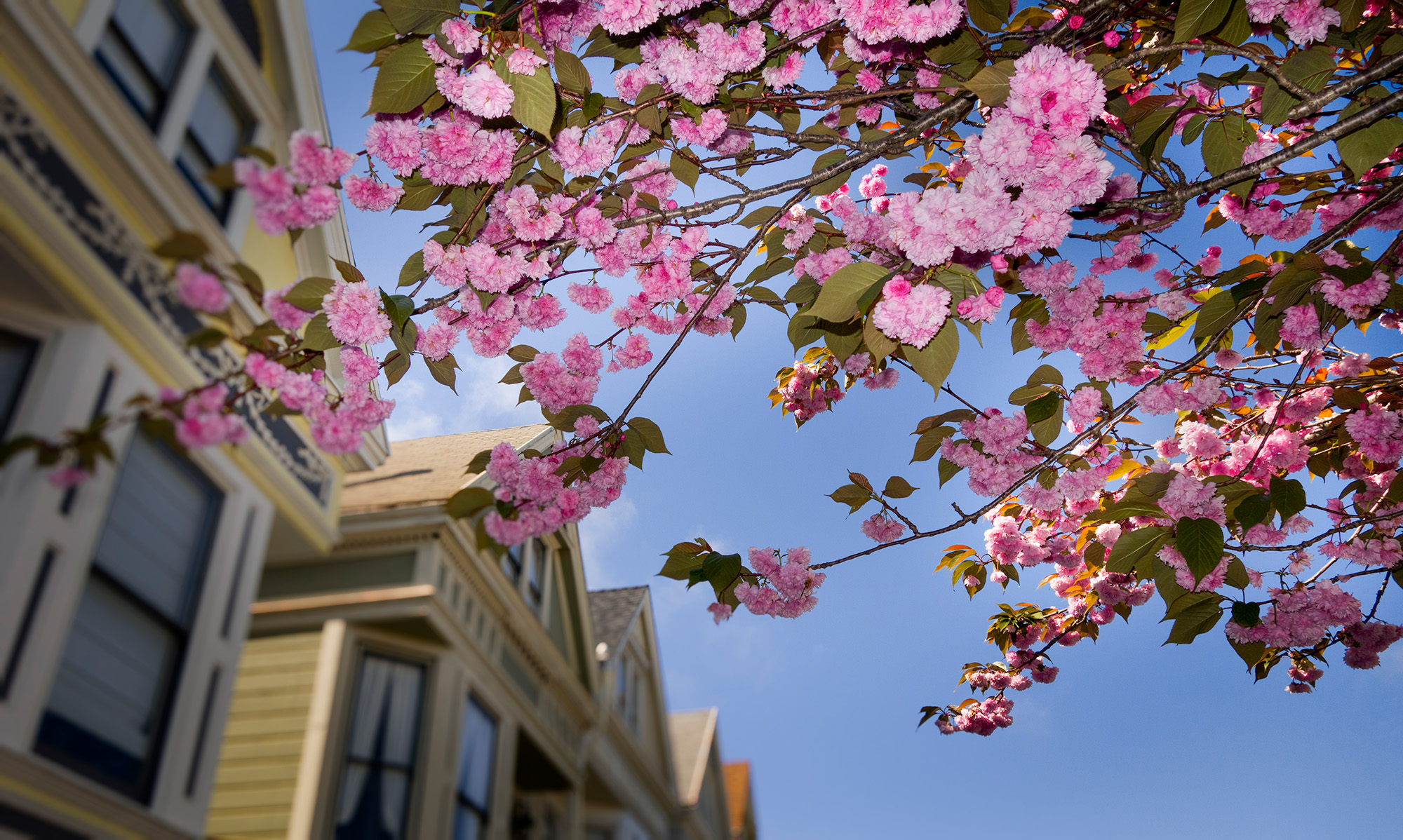 10 Tips to Navigate Ann Arbor’s Spring Real Estate Market